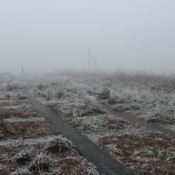 Weiße Fläche im Nebel mit schwarzen Bahnen und zum Teil umgegrabenen Beeten.