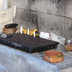 Topfplatte mit Stecketiketten und zwei kleinen Boxen mit Saatgut.