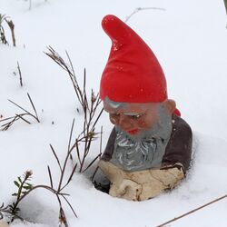 Gartenzwerg mit roter Mütze mit Bruchstelle vorn.