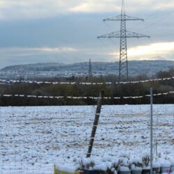 Blick durch einen gefrorenen Zaun über weißes Feld, Bäume auf Bielefeld vor dem weißen Teutoburger Wald. Mitten im Bild leider Strommasten.