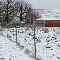 Schneebedeckte Fläche hinter dem Zaun, im Hintergrund die Gebäude des Engelingshofes.